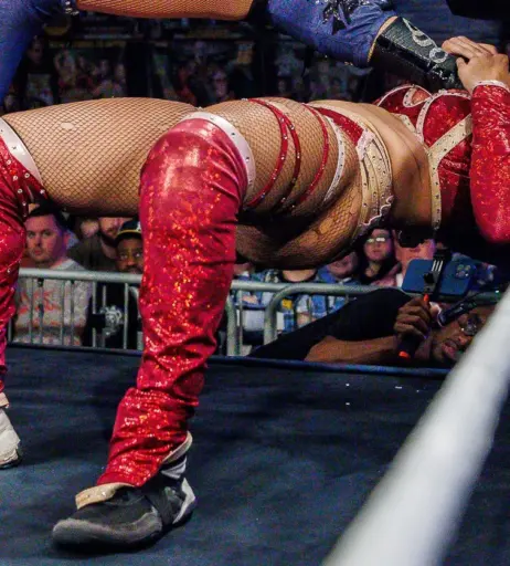 Image 23666443 from Women of Professional Wrestling