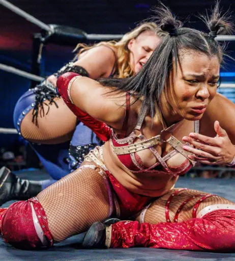 Image 23666440 from Women of Professional Wrestling