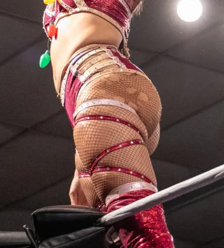 Image 23666445 from Women of Professional Wrestling