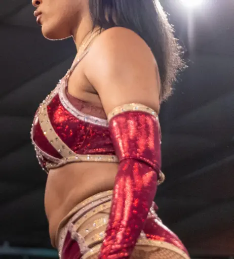 Image 23666449 from Women of Professional Wrestling
