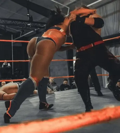 Image 23666755 from Women of Professional Wrestling