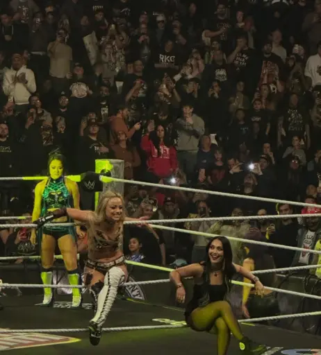 Image 23666606 from Women of Professional Wrestling