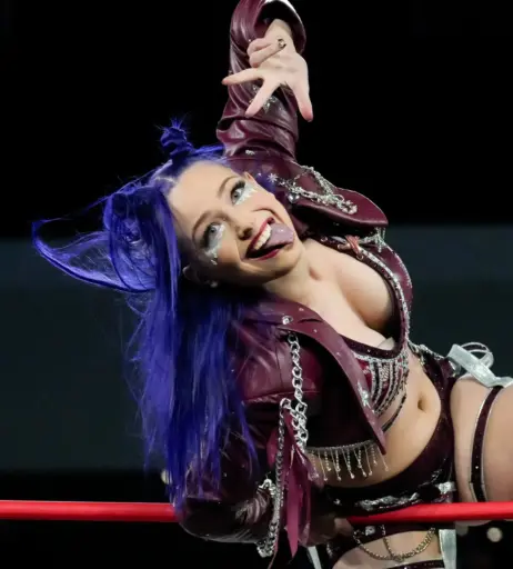 Image 23666080 from Women of Professional Wrestling