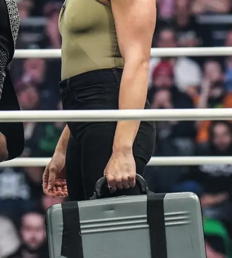 Image 23666024 from Women of Professional Wrestling