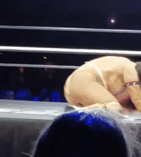 Image 23666042 from Women of Professional Wrestling