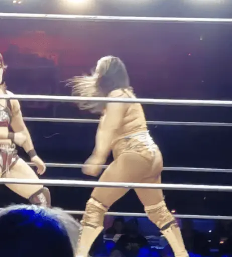 Image 23666045 from Women of Professional Wrestling