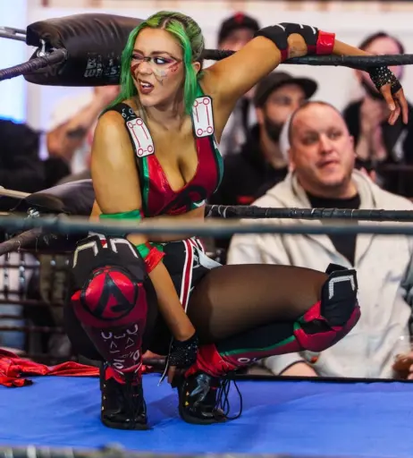 Image 23666362 from Women of Professional Wrestling