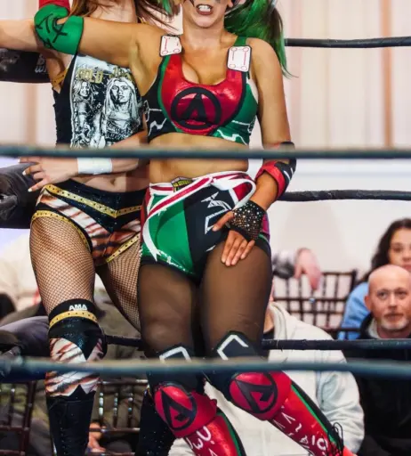 Image 23666361 from Women of Professional Wrestling
