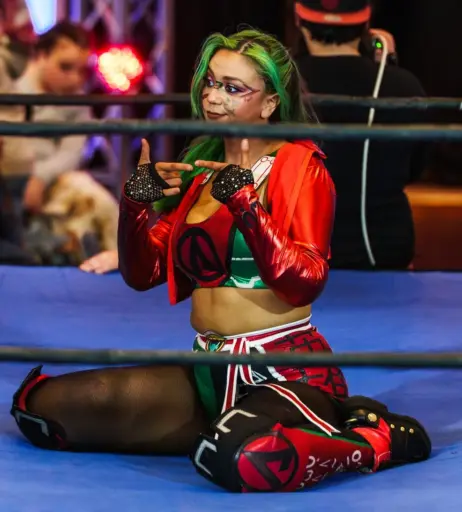 Image 23666360 from Women of Professional Wrestling