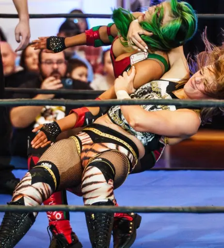 Image 23666365 from Women of Professional Wrestling