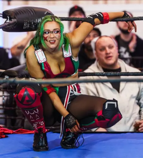 Image 23666355 from Women of Professional Wrestling