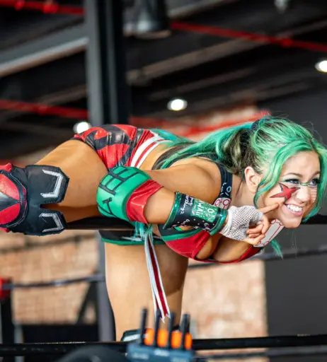 Image 23666288 from Women of Professional Wrestling