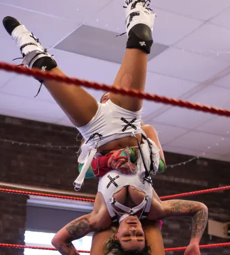 Image 23666203 from Women of Professional Wrestling