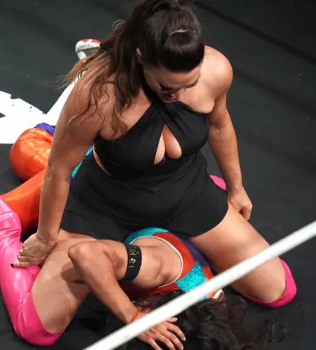 Image 23666233 from Women of Professional Wrestling
