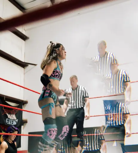 Image 23666256 from Women of Professional Wrestling