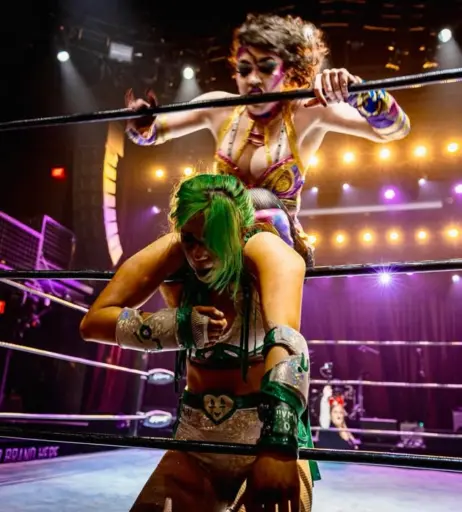 Image 23666245 from Women of Professional Wrestling