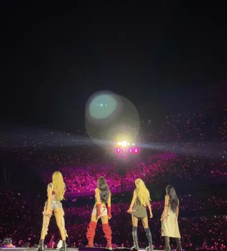 Image 23660677 from Jisoo  || - BLΛƆKPIИK ( BLACKPINK )