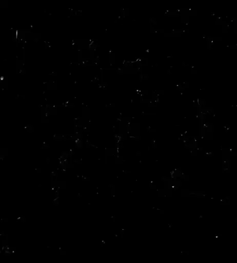 Image 23669850 from FreakyT B/G