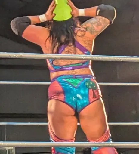 Image 23669124 from Women of Professional Wrestling