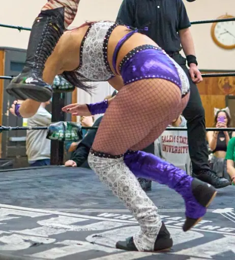 Image 23669135 from Women of Professional Wrestling