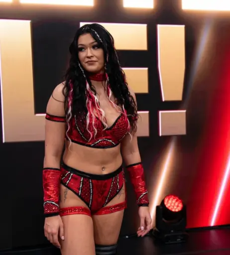 Image 23669022 from Women of Professional Wrestling