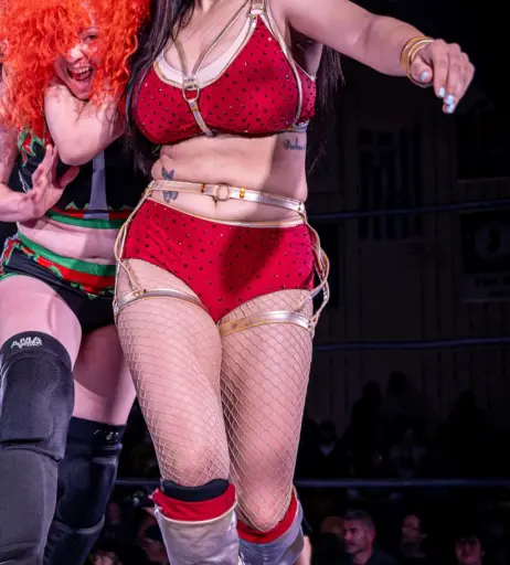 Image 23669025 from Women of Professional Wrestling