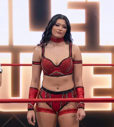 Image 23669018 from Women of Professional Wrestling