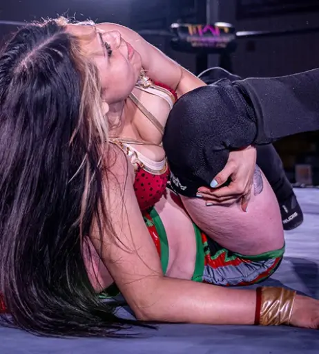 Image 23669033 from Women of Professional Wrestling