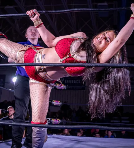 Image 23669032 from Women of Professional Wrestling