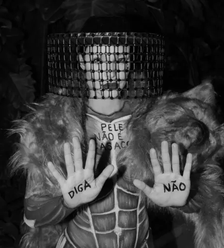 Image 23691770 from Aline Mineiro