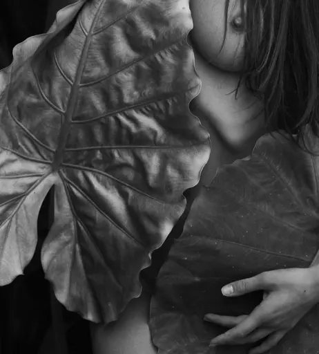 Image 23684049 from Anastasiia Zakharenko