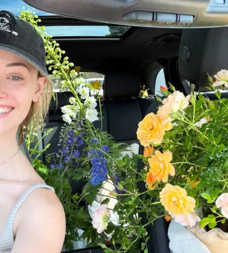 Image 23555490 from Virginia Gardner