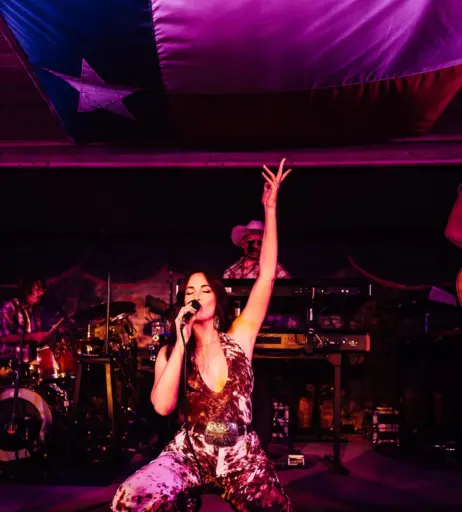 Image 23554981 from Kacey Musgraves