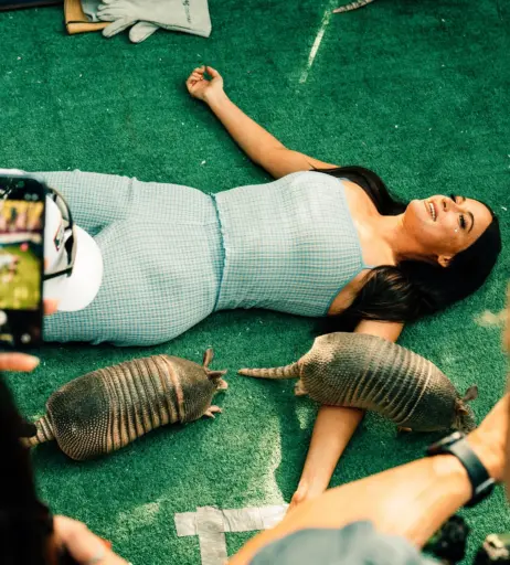 Image 23554989 from Kacey Musgraves