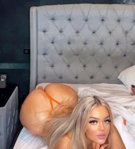 Image 2356554 from Yolosi