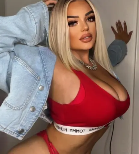 Image 2354249 from Yolosi