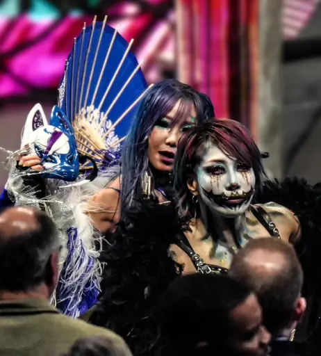 Image 23595483 from Kairi Sane | Kairi Hojo