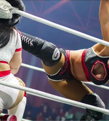 Image 23597203 from Tessa Blanchard (Wrestler)