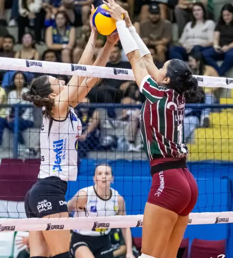 Image 23596862 from Lara Nobre