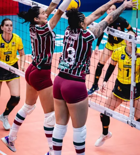 Image 23596879 from Lara Nobre