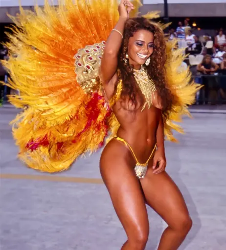 Image 23593404 from Viviane Araujo