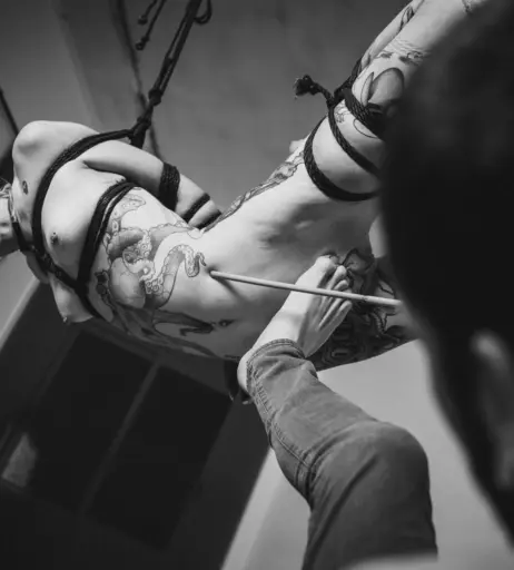 Image 2358043 from mrs_nice