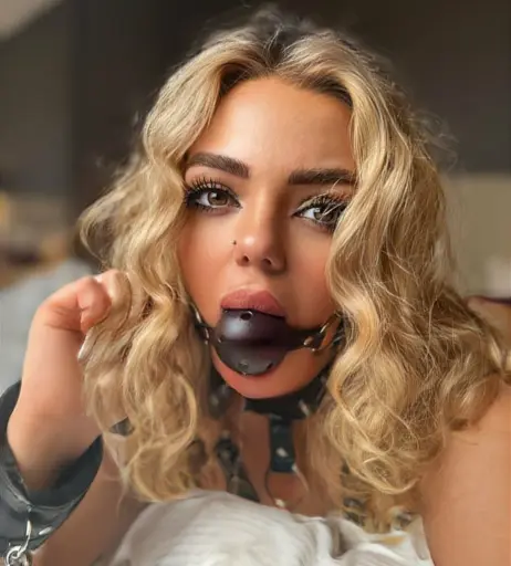 Image 2358903 from Yolosi