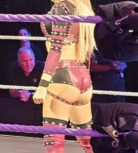 Image 23474057 from Karmen Petrovic - WWE NXT