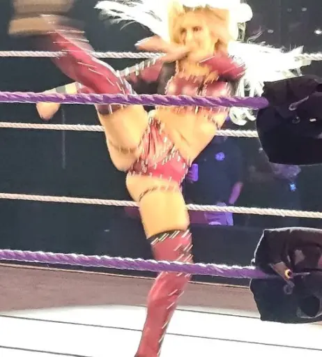 Image 23474058 from Karmen Petrovic - WWE NXT