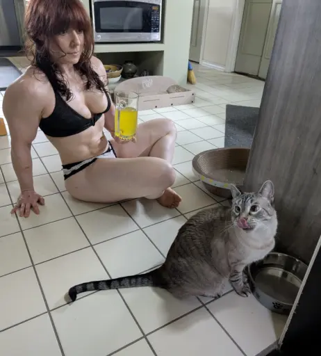 Image 23441449 from kitty_bit_games