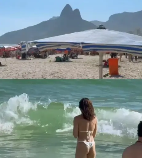 Image 23421273 from Valentina Bandeira