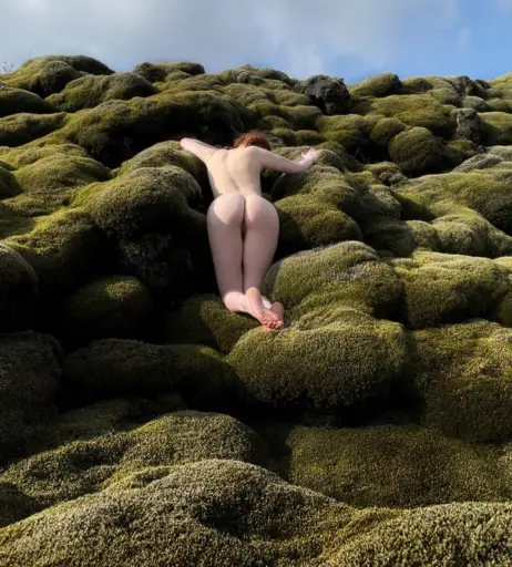 Image 23354371 from Icelandic Selkie