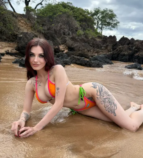 Image 23338063 from Rolyatistaylor