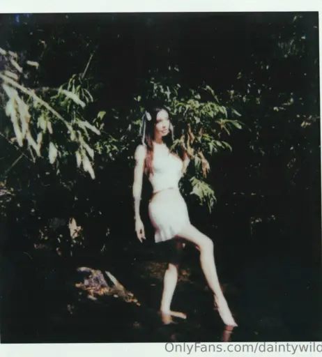 Image 23258109 from Dainty Wilder